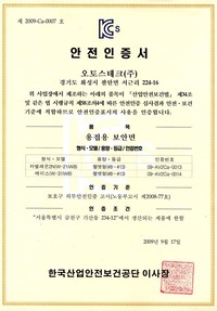 에이스(W-31iW8)